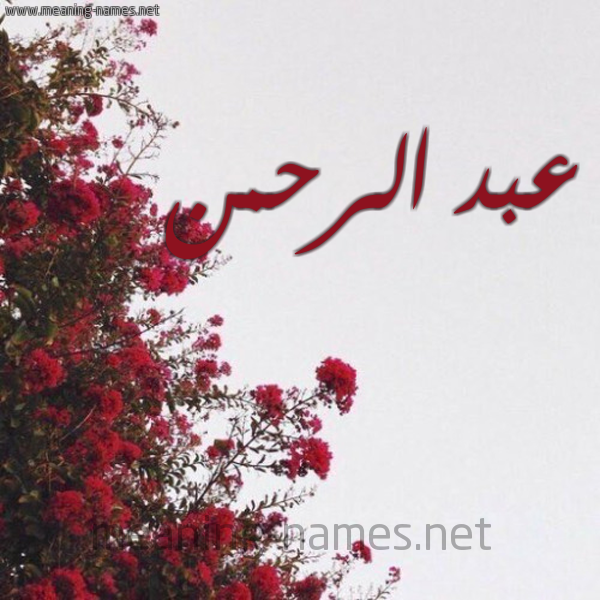 شكل 18 صوره الورد الأحمر للإسم بخط رقعة صورة اسم عبد الرحمن ABD-ALRHMaN